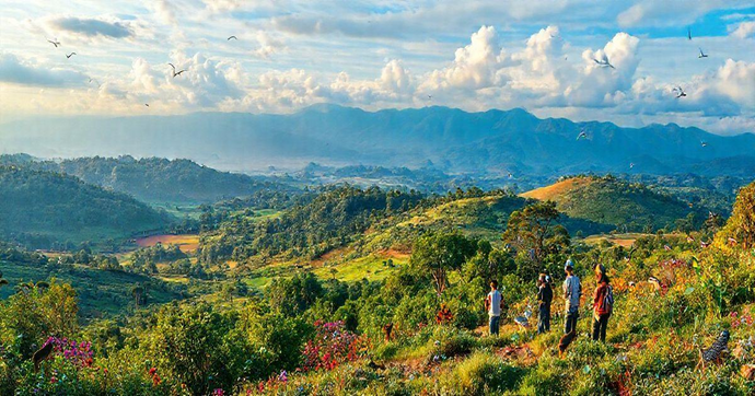 Avaliação Ambiental: Entenda sua Importância e Como Realizá-la Corretamente